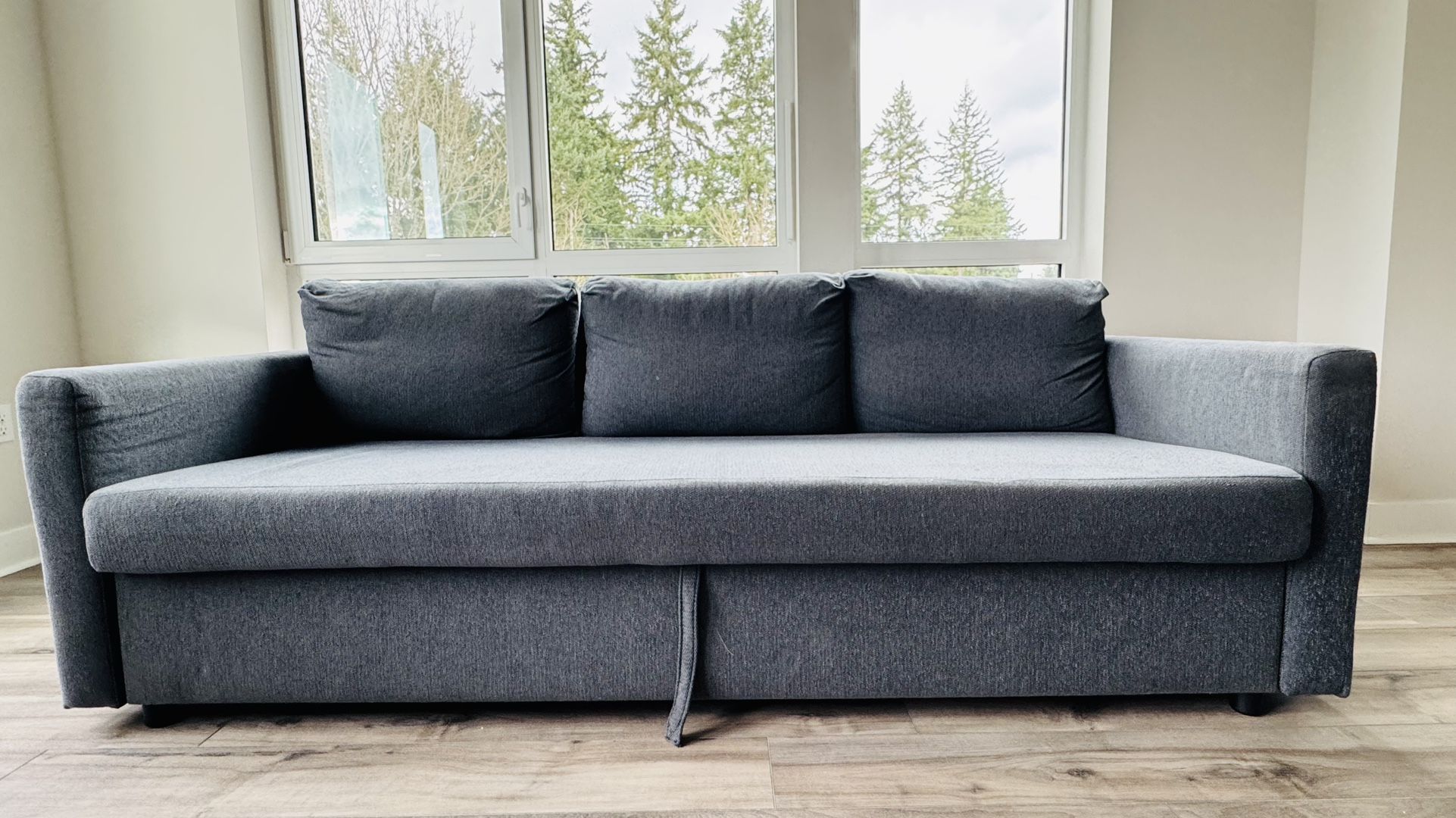 Ikea Friheten Sleeper Sofa