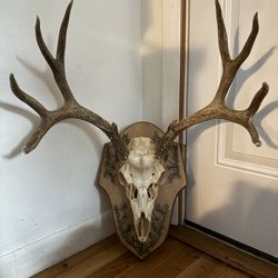 Home Decor 