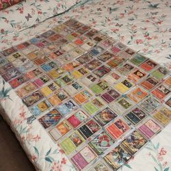 Pokemon Card Collection 