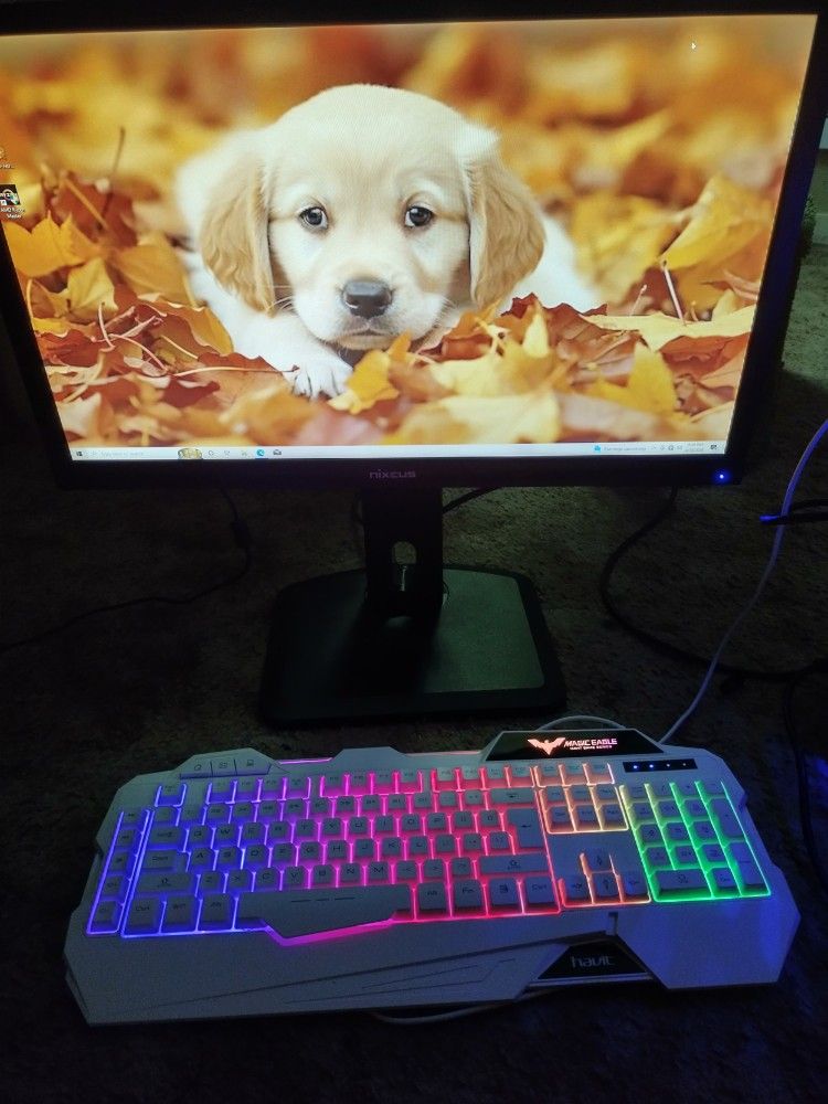 Entry Level Custom Gaming Desktop With Monitor