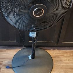 Fan