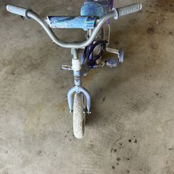 Frozen Bike