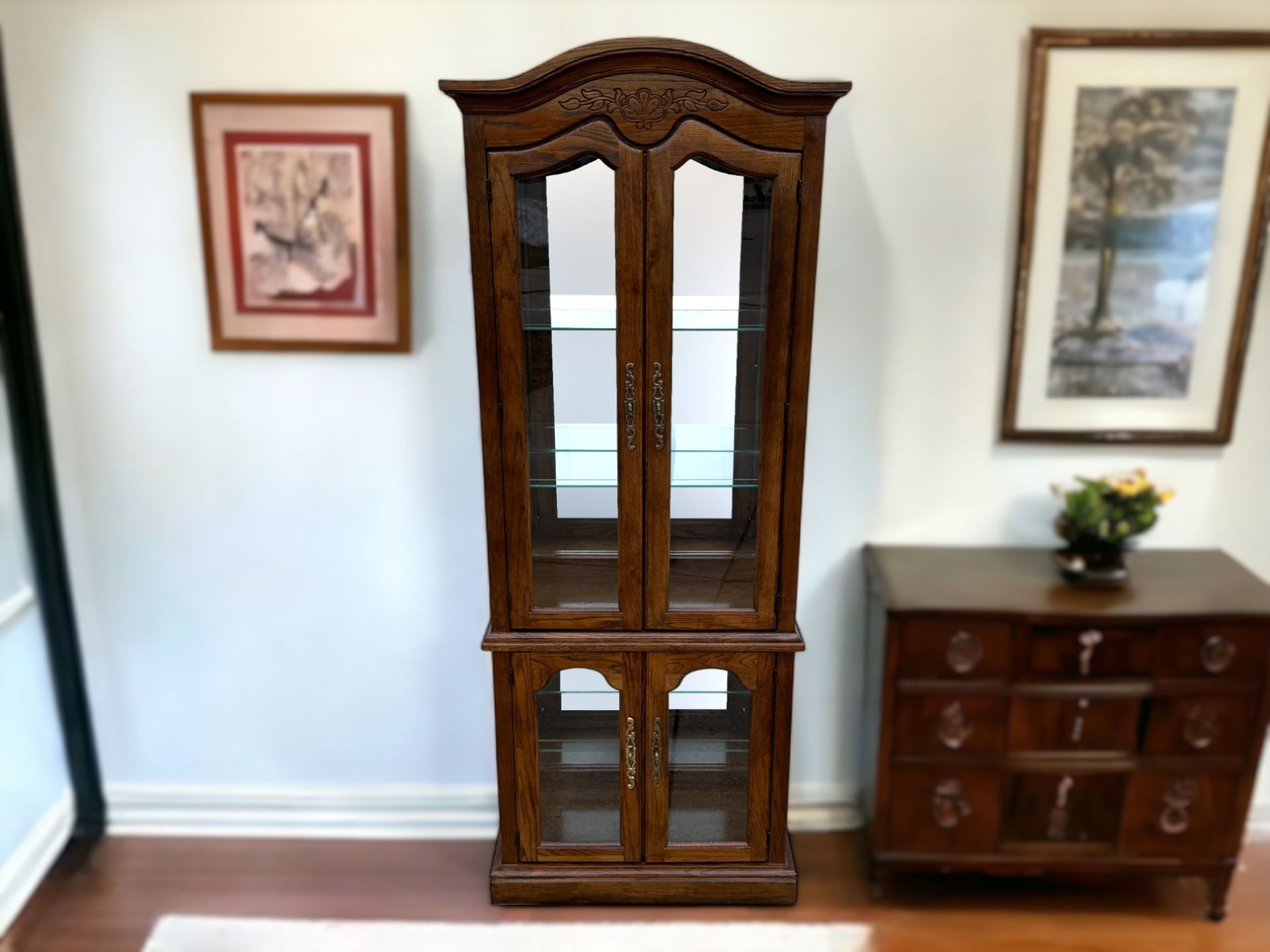 Lenoir House Dark Brown Oak Curio Cabinet w/ Lights & Mirrored Back