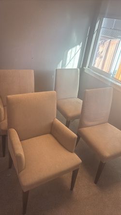 Crate & Barrel Beige Dining Chairs