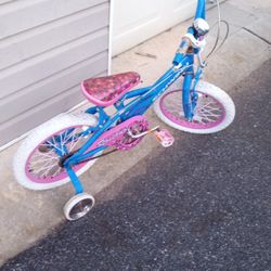 Schwinn 16 Inch Kids Bike Needs Minor Tlc