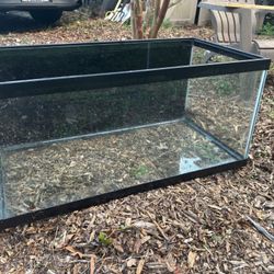 40 Gallon Tank