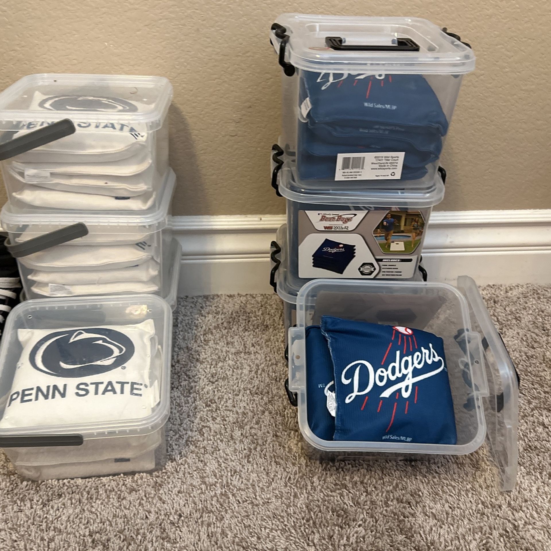 Corn Hole Bags(Look At Description)