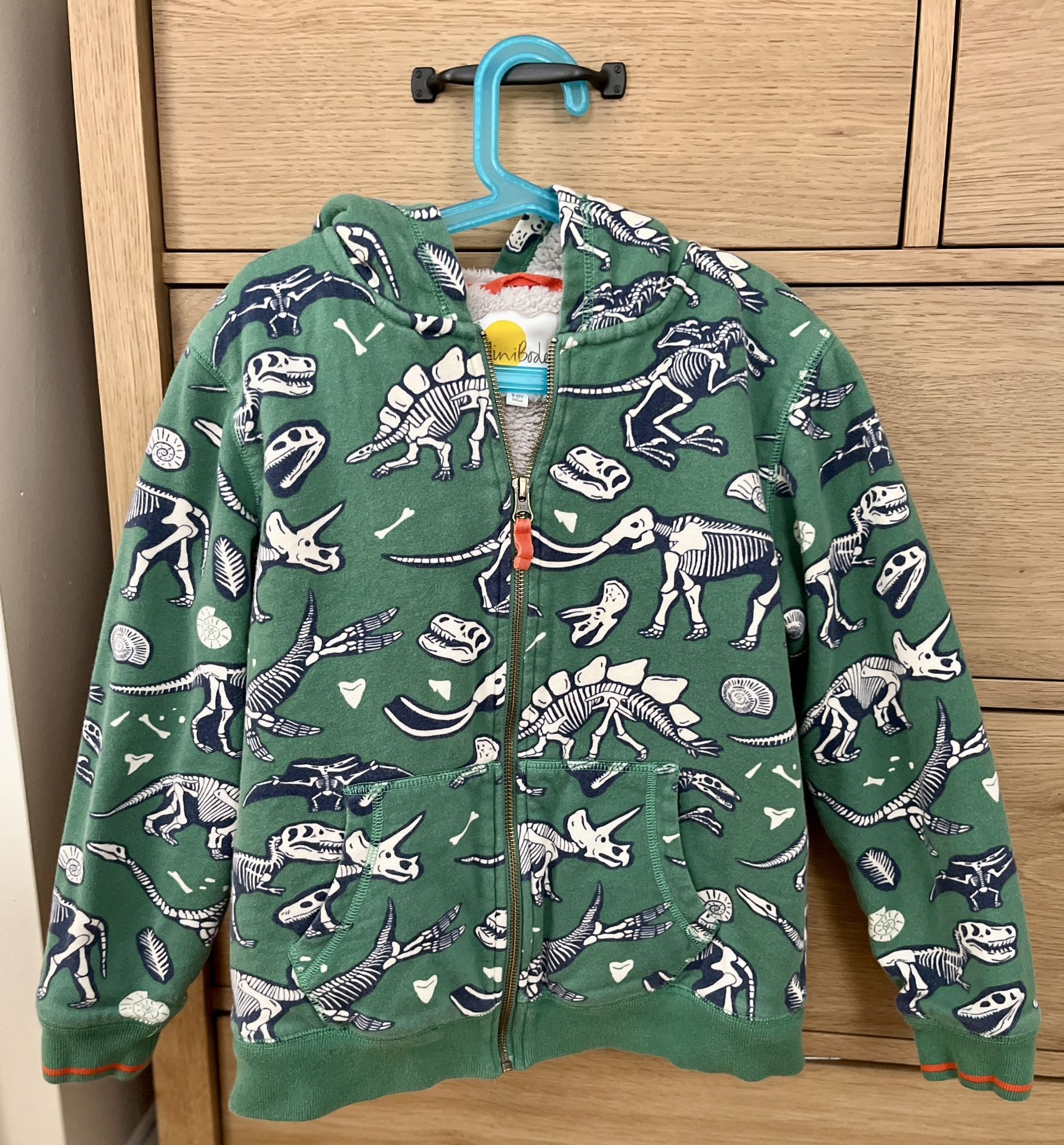 Mini Boden Fleece-Lined Dinosaur Hoodie (9-10y)