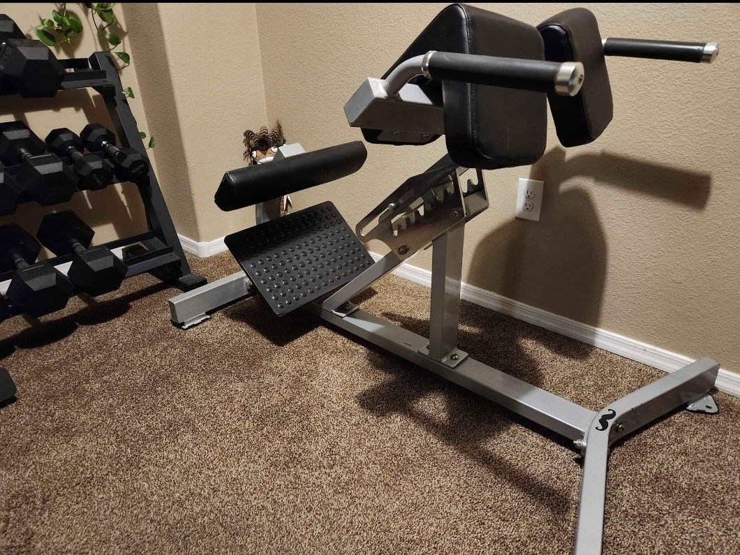 Roman Chair / Back Extension  18th St/ Tbird