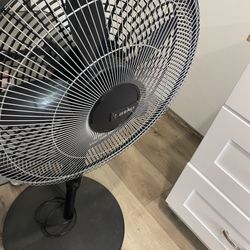 Fan 