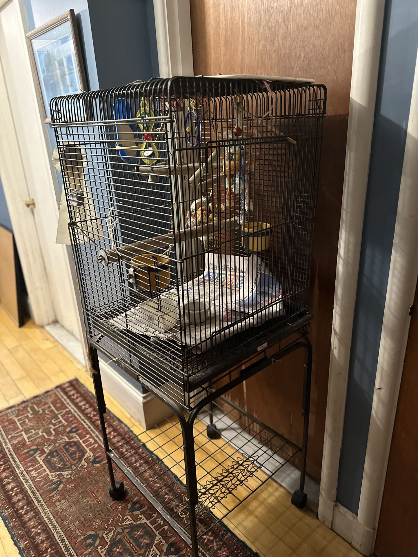 Bird Cage