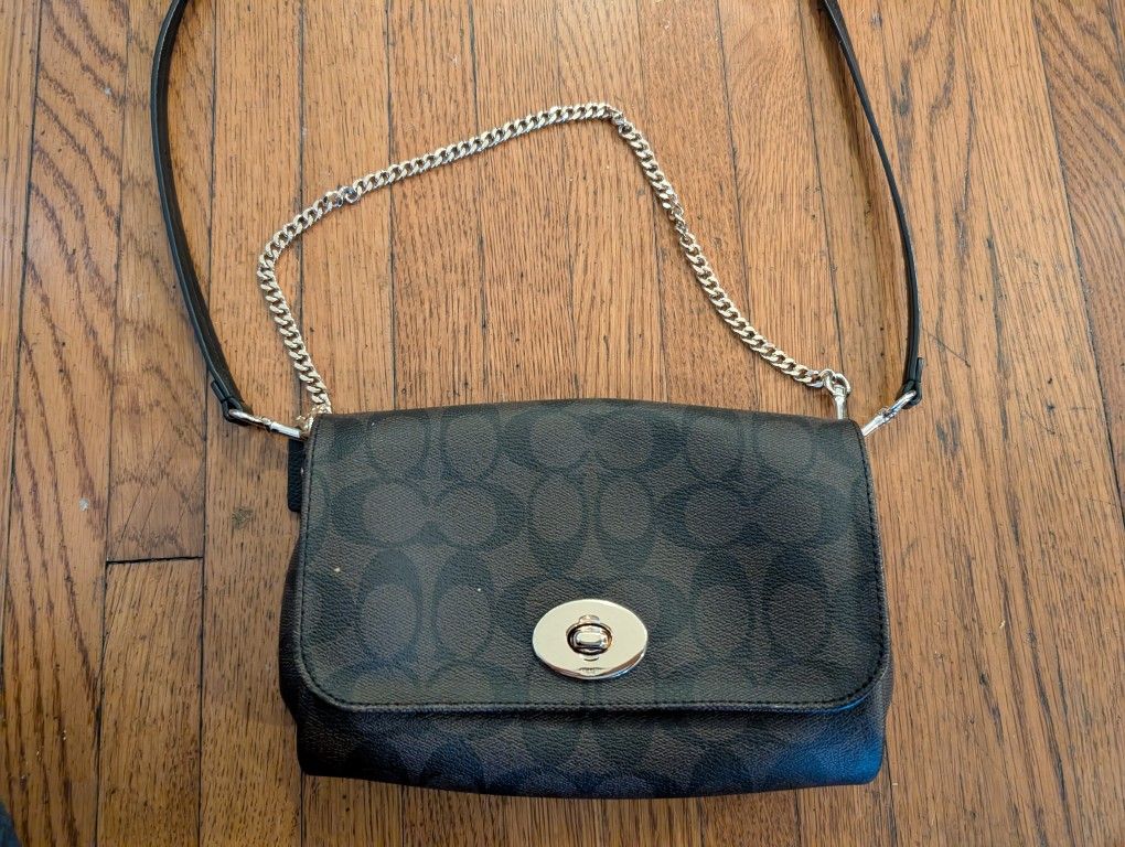 Small Coach Bag