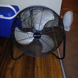 Fan