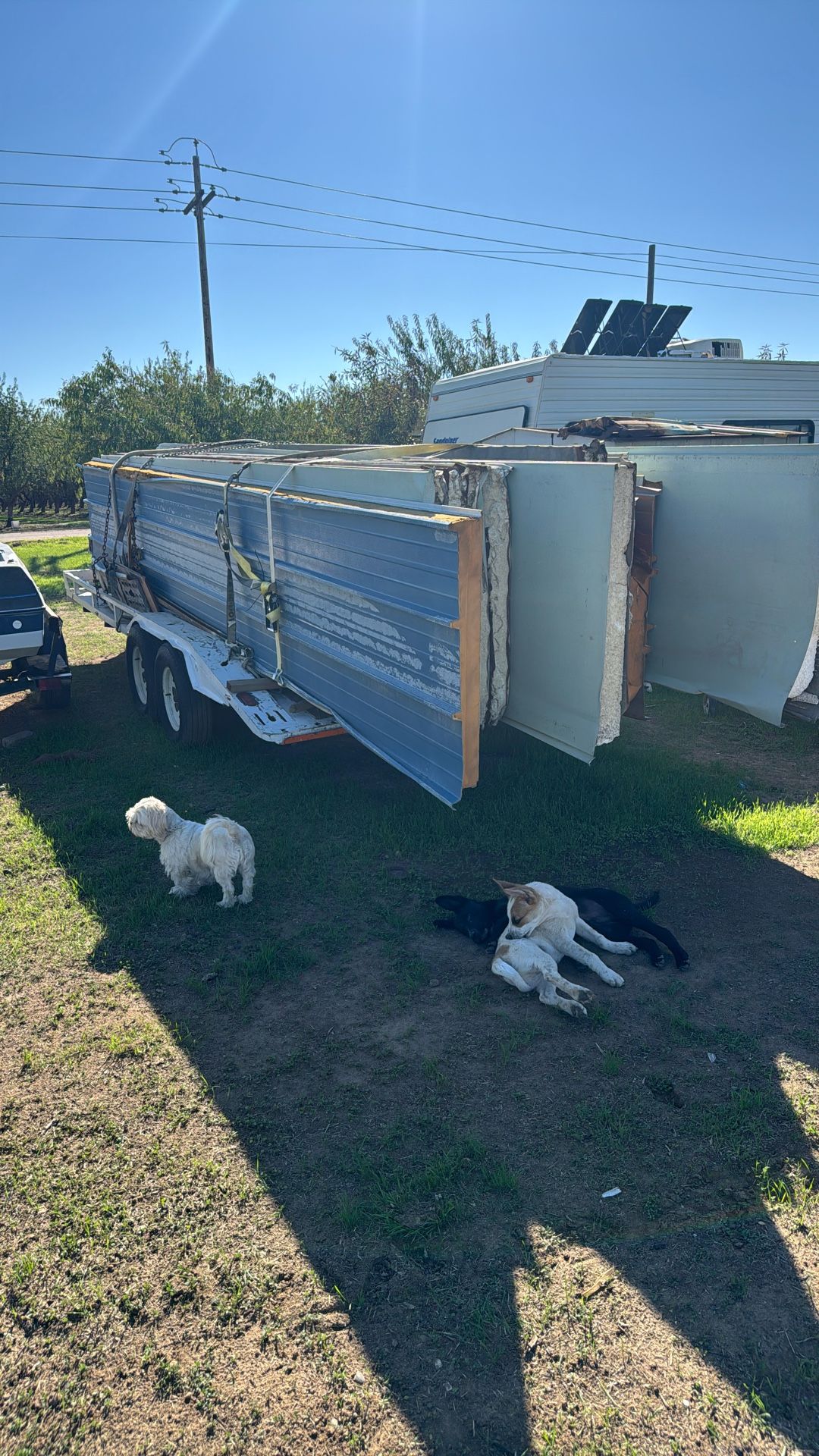 Foam Insulated Panels