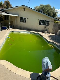 Green algae pool chemicals