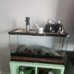 Lizard or gecko tank