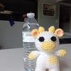 M.Lop speak Spanish also