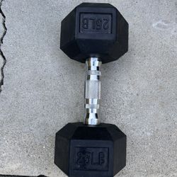 25 Pound Dumbbell 