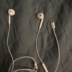 Apple Earbuds (Lightning)