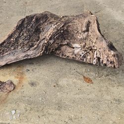 Brooks Bedrock Organic Driftwood Aquarium Decor