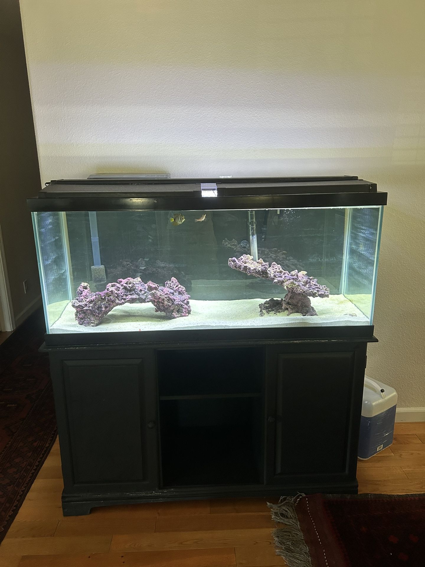 90 Gallon Tank With Stand And Filter Light