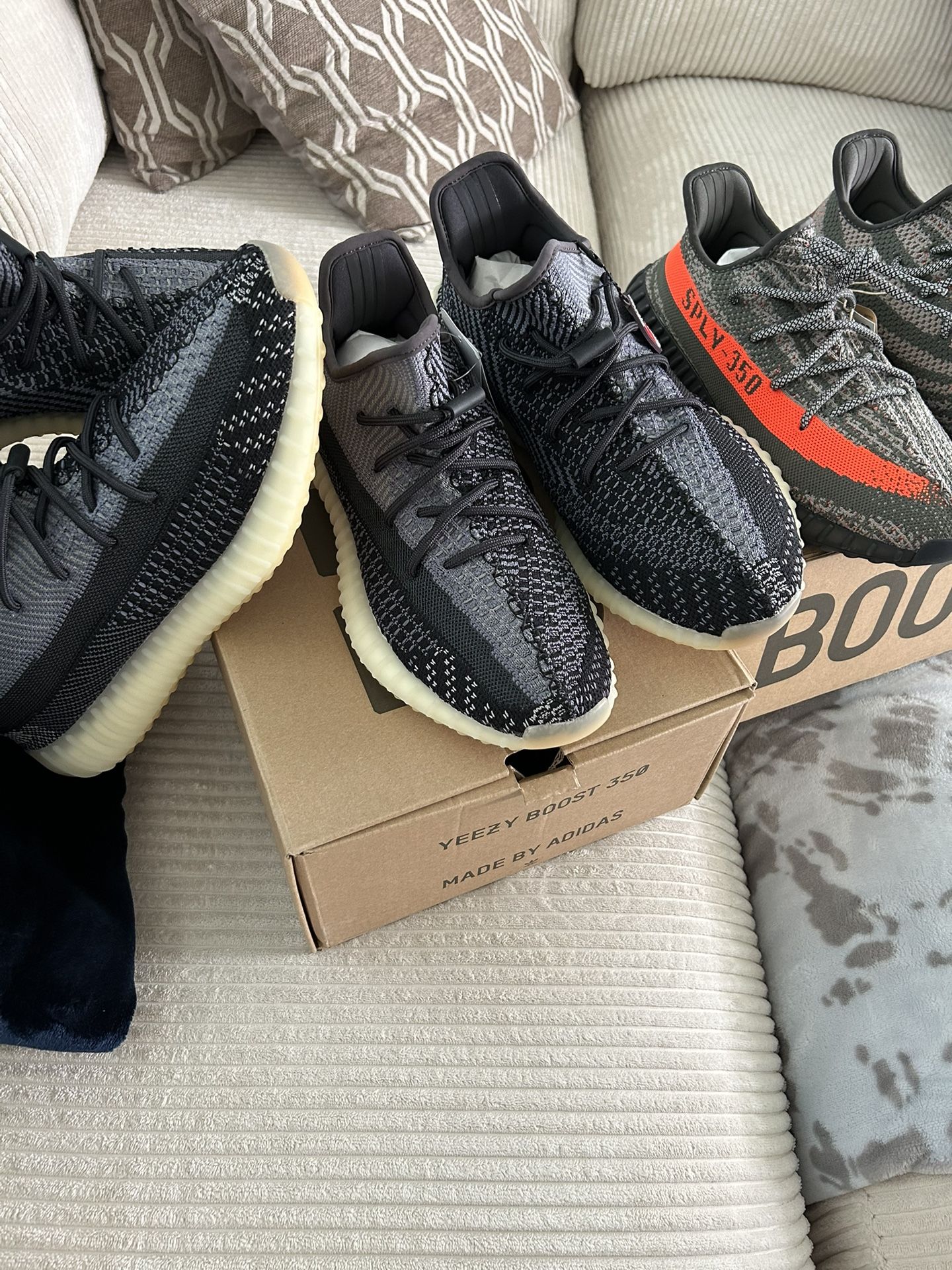 Adidas Shows