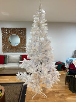 Christmas Trees