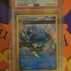 Gyarados XY60 PSA 5 Pokemon Cards
