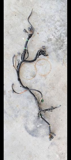 Complete Harness