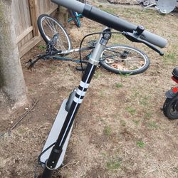 Electric Scooter 