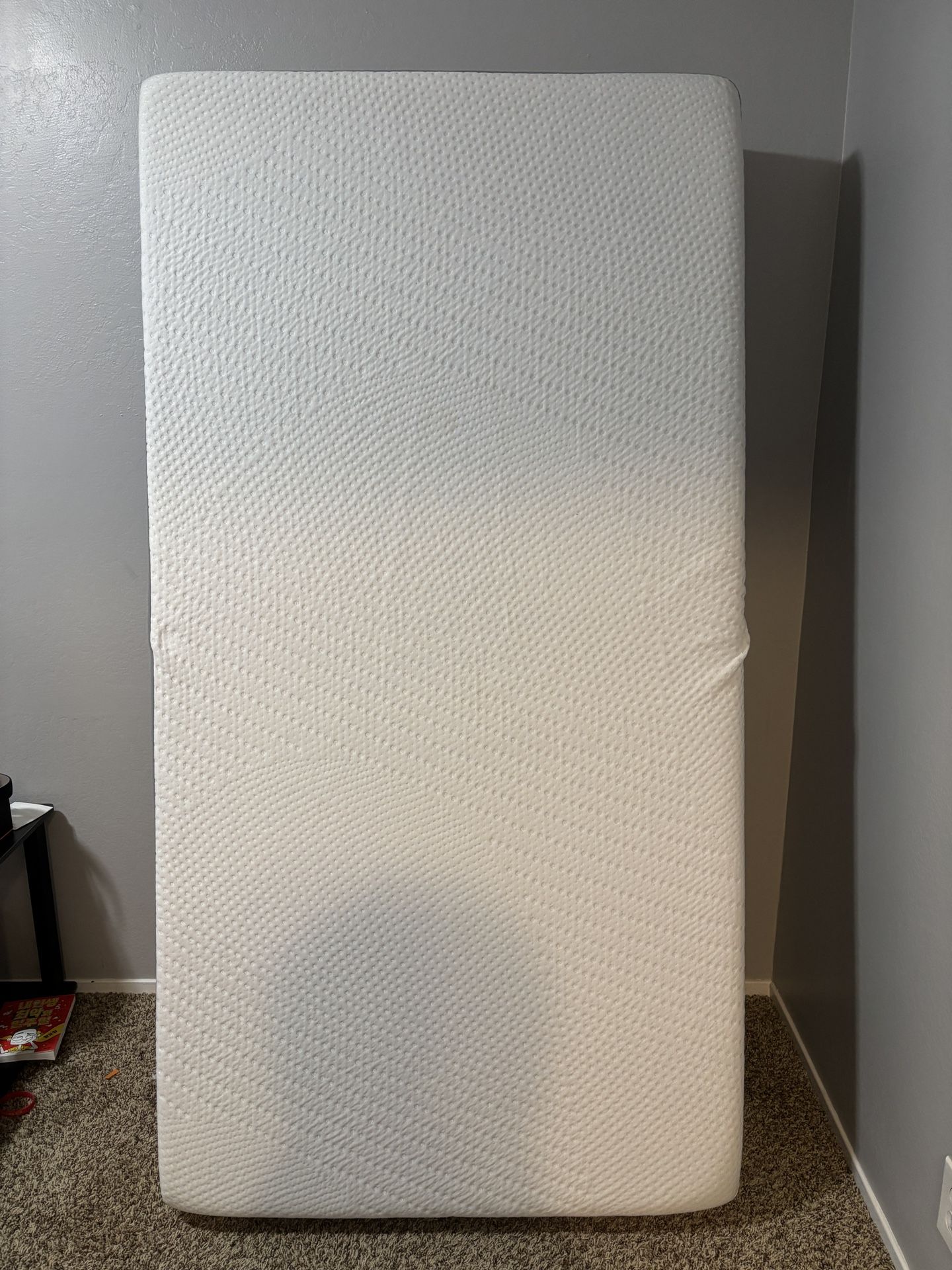 Two ZINUS 10-inch single mattresses