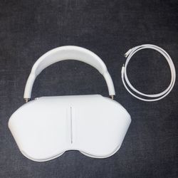 Apple Headphones 