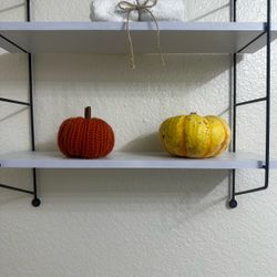 2 pumpkins ( 1 real 1 fake)