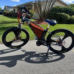 Custom Middrive Mountain Bike 