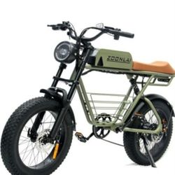 Electric Cruiser Bike 1000W 30MPH 