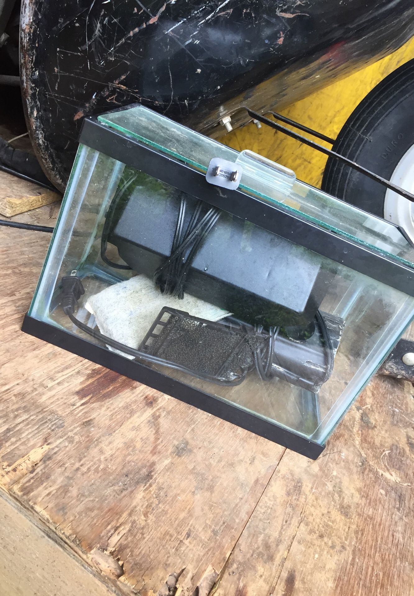 1 gallon fish tank