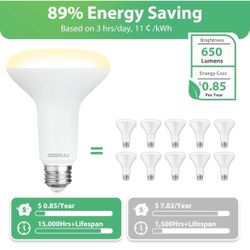 Can/recessed Light Bulbs 