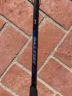 Daiwa Saltist Heavy Spinning Rod