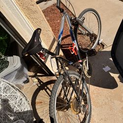 Diamond Back Mountain Bike