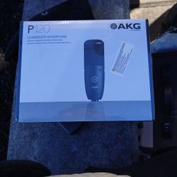 Akg P120 Condenser Mic