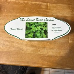 My Sweet Basil Garden