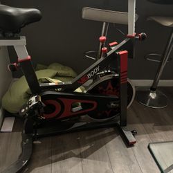 VIGBODY Exercise Bike Indoor Cycling Bicycle