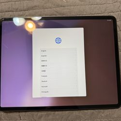 Apple iPad Pro 12.9 In 256 Gb 
