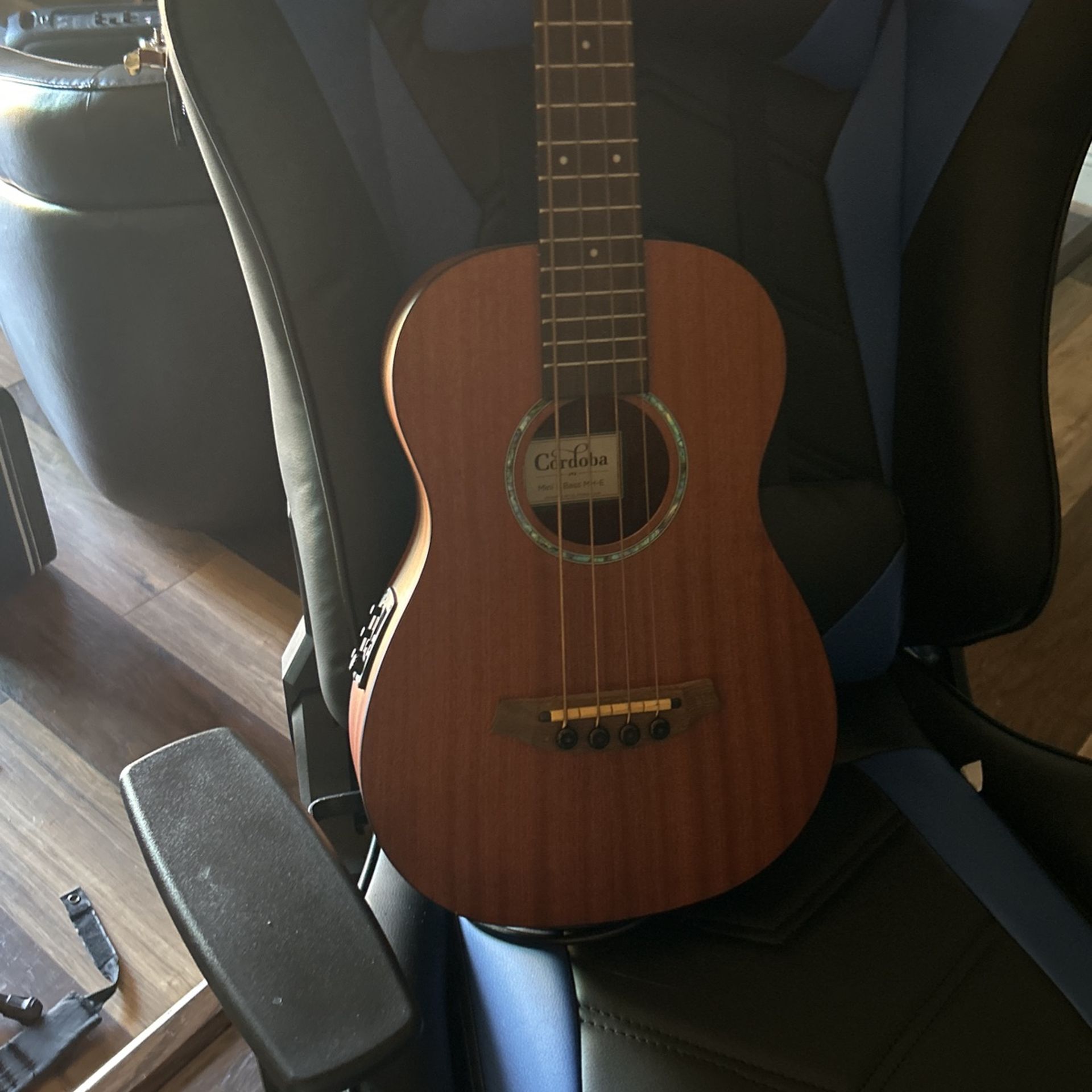 Mini ll Bass