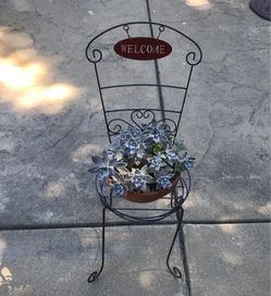 Cute metal welcome chair with pot of ghost plants