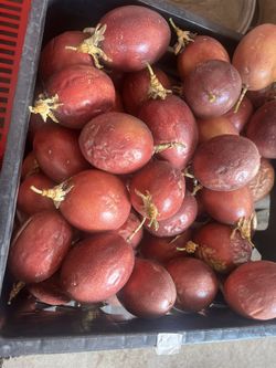 Freshly Picked Organic Passion Fruits 