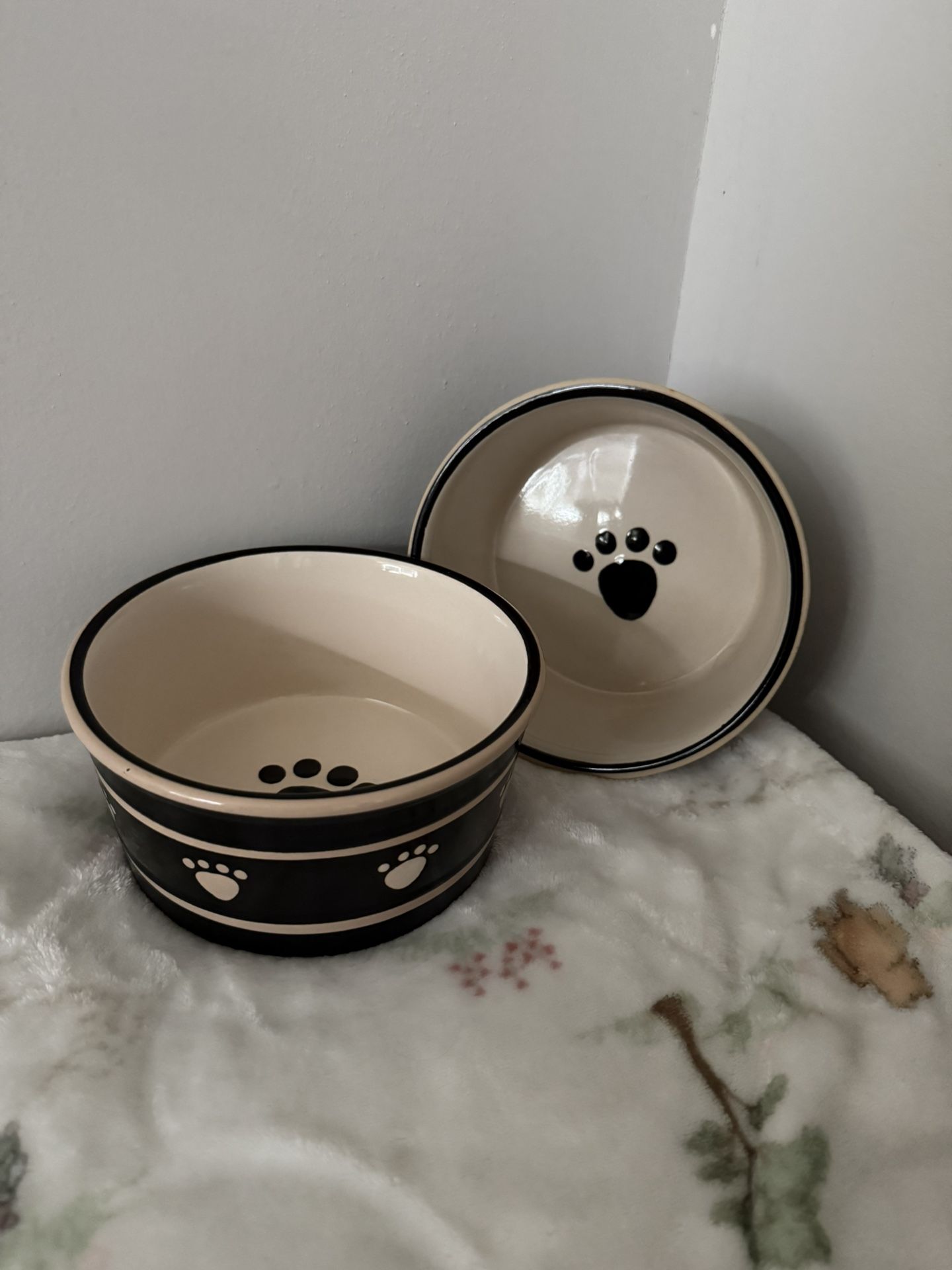 Dog Bowls