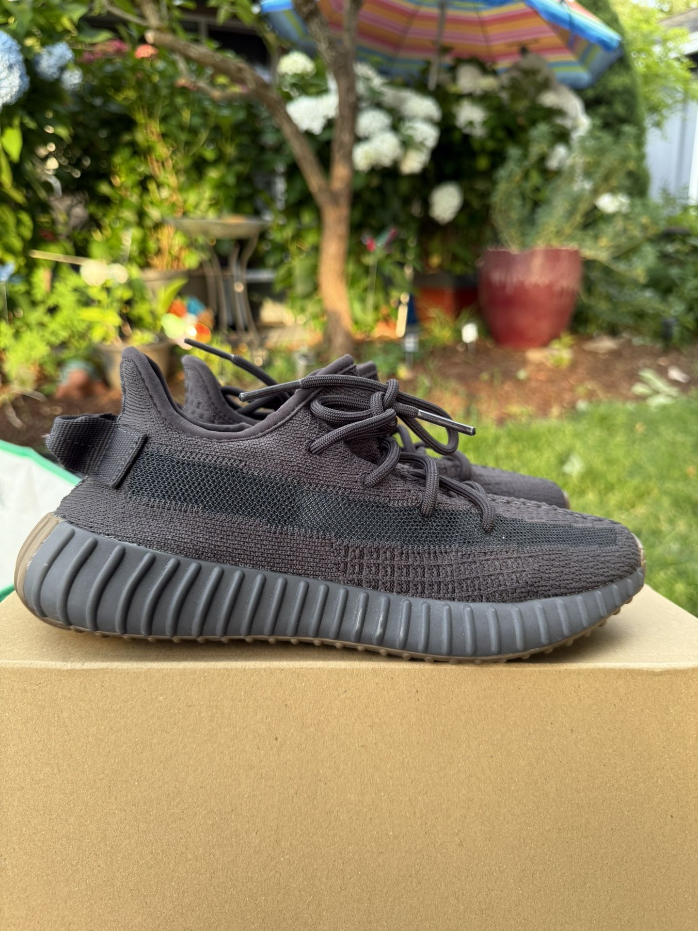 Yeezy 350