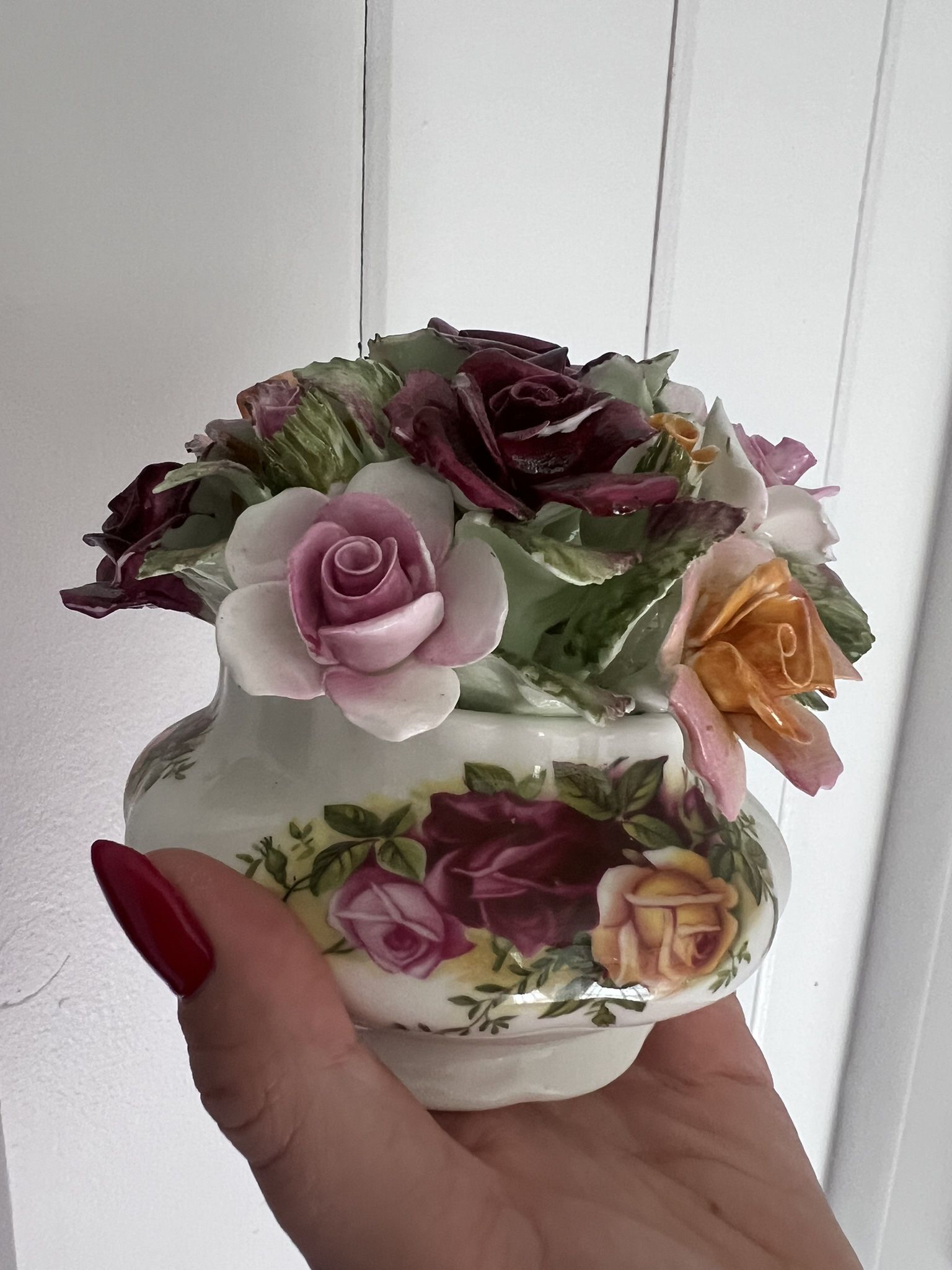 English China Roses