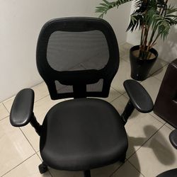 Office Chairs